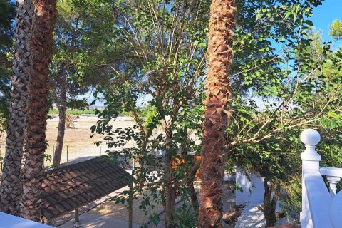 Продажа финки Аликанте, Испания 5 спален, 235м2 №115434 - фото 15