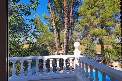 Продажа финки Аликанте, Испания 5 спален, 235м2 №115434 - фото 17