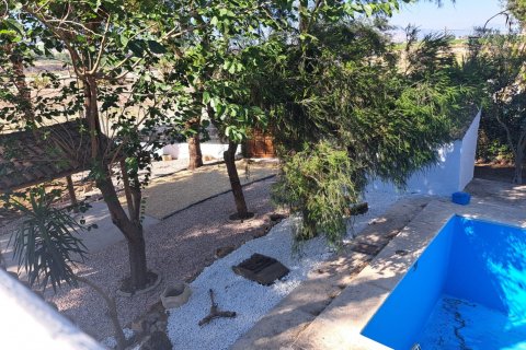 Продажа финки Аликанте, Испания 5 спален, 235м2 №115434 - фото 4