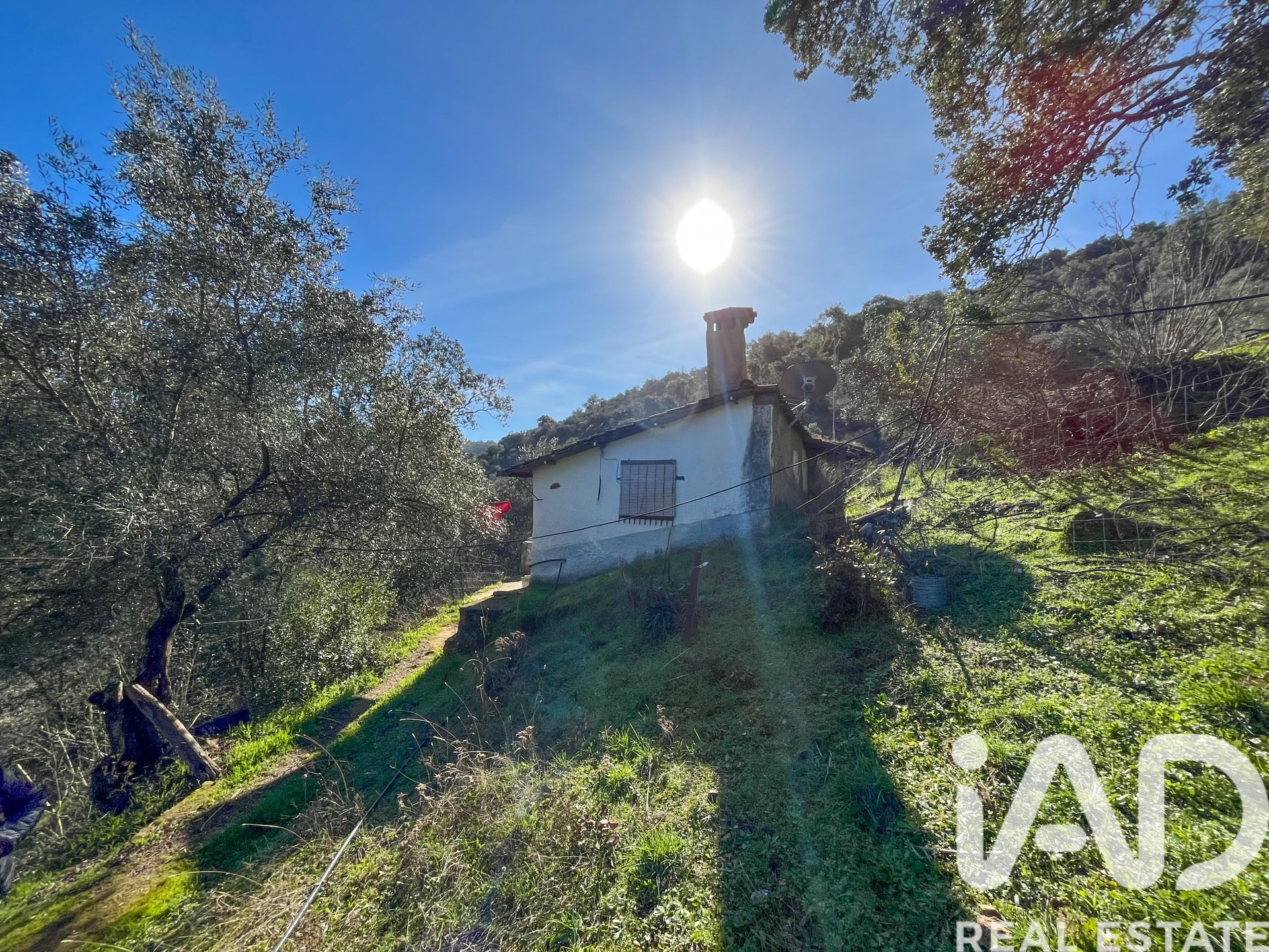 Terreno a La Nava, Huelva, Spagna 150000 mq. N° 173023