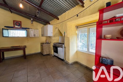 Działka w La Nava, Huelva, Hiszpania 150000 mkw. nr 173023 – zdjęcie 17