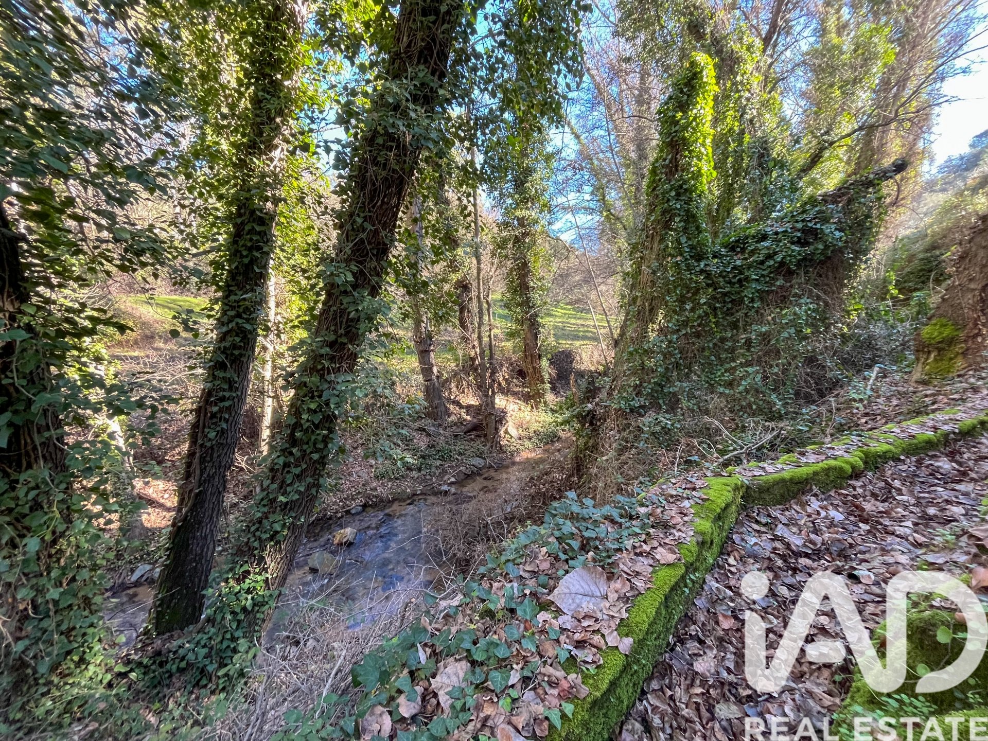 Terreno a La Nava, Huelva, Spagna 150000 mq. N° 173023