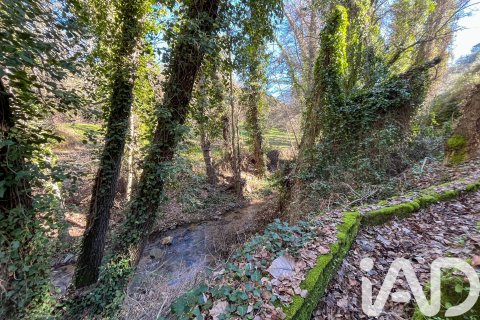 Działka w La Nava, Huelva, Hiszpania 150000 mkw. nr 173023 – zdjęcie 30