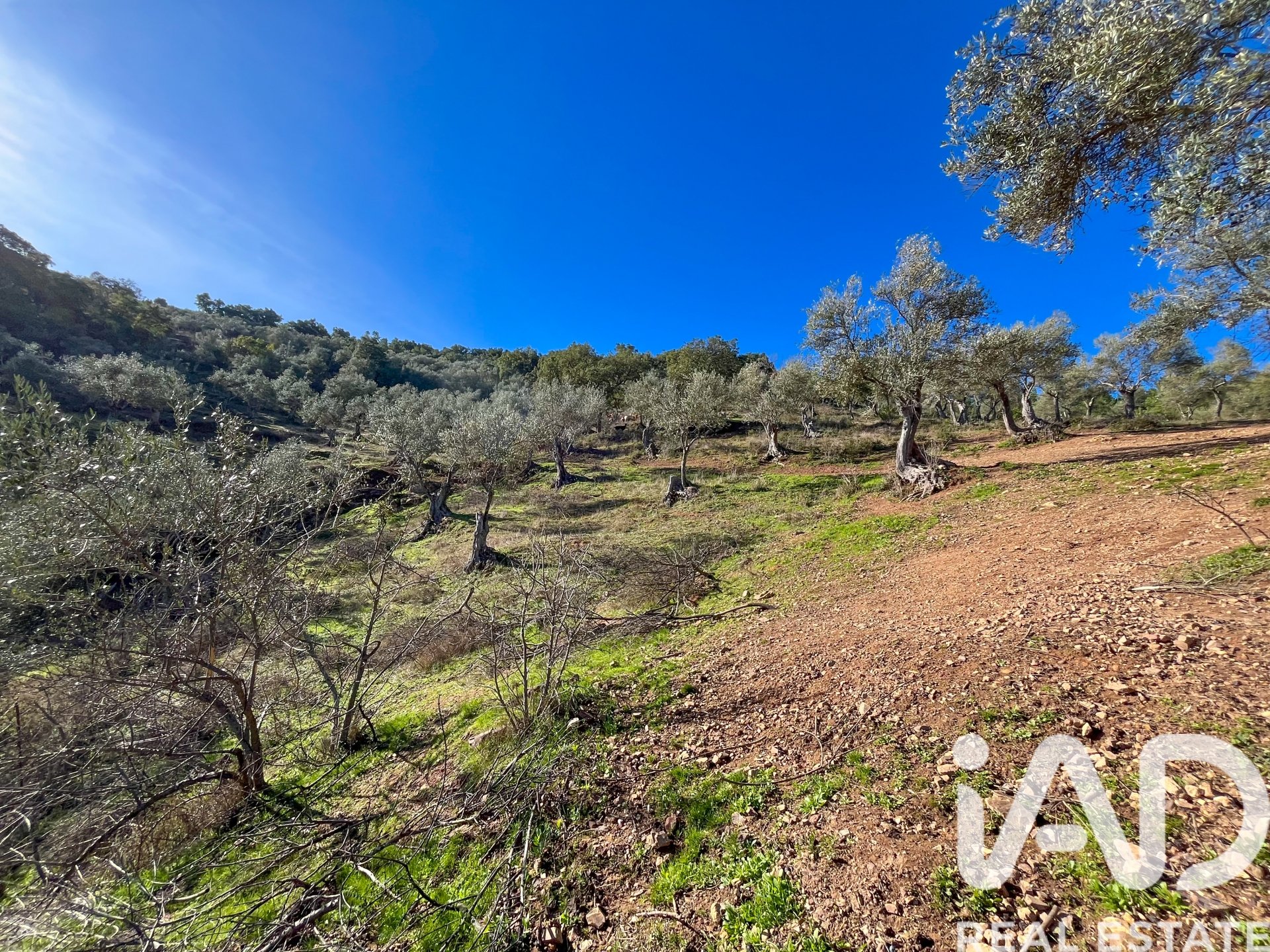 Terreno a La Nava, Huelva, Spagna 150000 mq. N° 173023