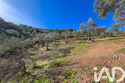Działka w La Nava, Huelva, Hiszpania 150000 mkw. nr 173023 – zdjęcie 23