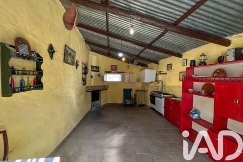 Działka w La Nava, Huelva, Hiszpania 150000 mkw. nr 173023 – zdjęcie 16