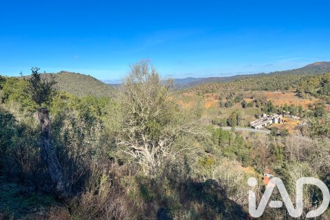 Działka w La Nava, Huelva, Hiszpania 150000 mkw. nr 173023 – zdjęcie 25