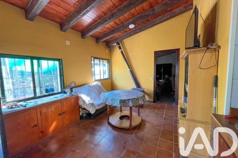 Działka w La Nava, Huelva, Hiszpania 150000 mkw. nr 173023 – zdjęcie 10
