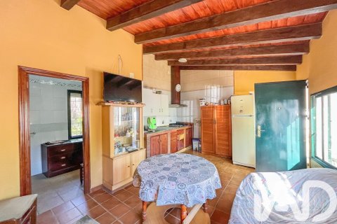 Działka w La Nava, Huelva, Hiszpania 150000 mkw. nr 173023 – zdjęcie 9