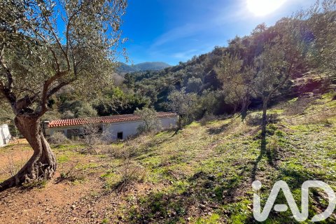 Terreno a La Nava, Huelva, Spagna 150000 mq. N° 173023