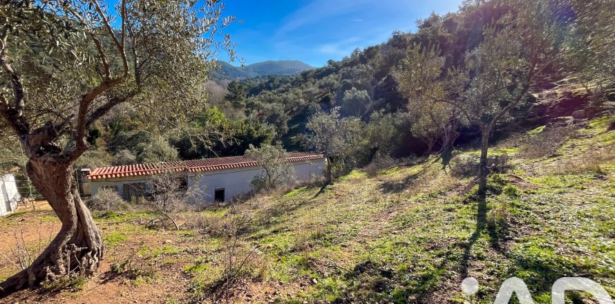 Działka w La Nava, Huelva, Hiszpania 150000 mkw. nr 173023
