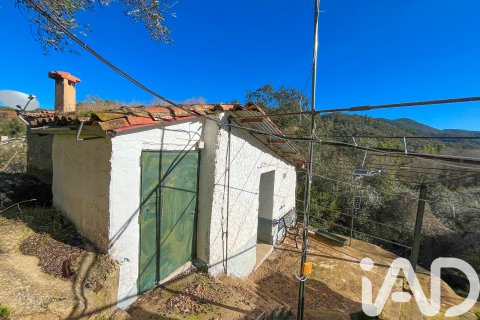 Działka w La Nava, Huelva, Hiszpania 150000 mkw. nr 173023 – zdjęcie 15