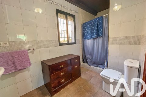 Działka w La Nava, Huelva, Hiszpania 150000 mkw. nr 173023 – zdjęcie 13