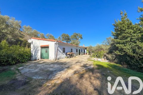 Działka w La Nava, Huelva, Hiszpania 150000 mkw. nr 173023 – zdjęcie 8