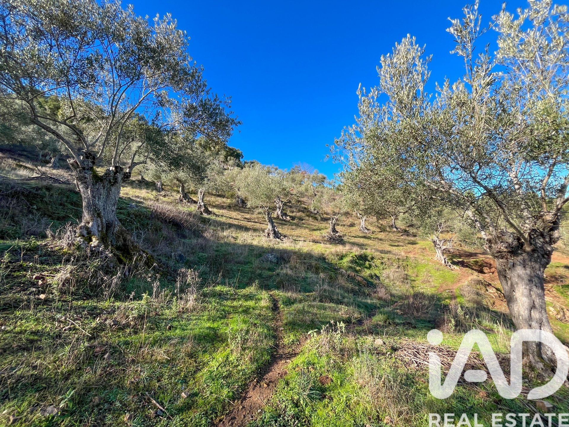 Terreno a La Nava, Huelva, Spagna 150000 mq. N° 173023