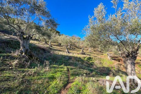 Działka w La Nava, Huelva, Hiszpania 150000 mkw. nr 173023 – zdjęcie 24