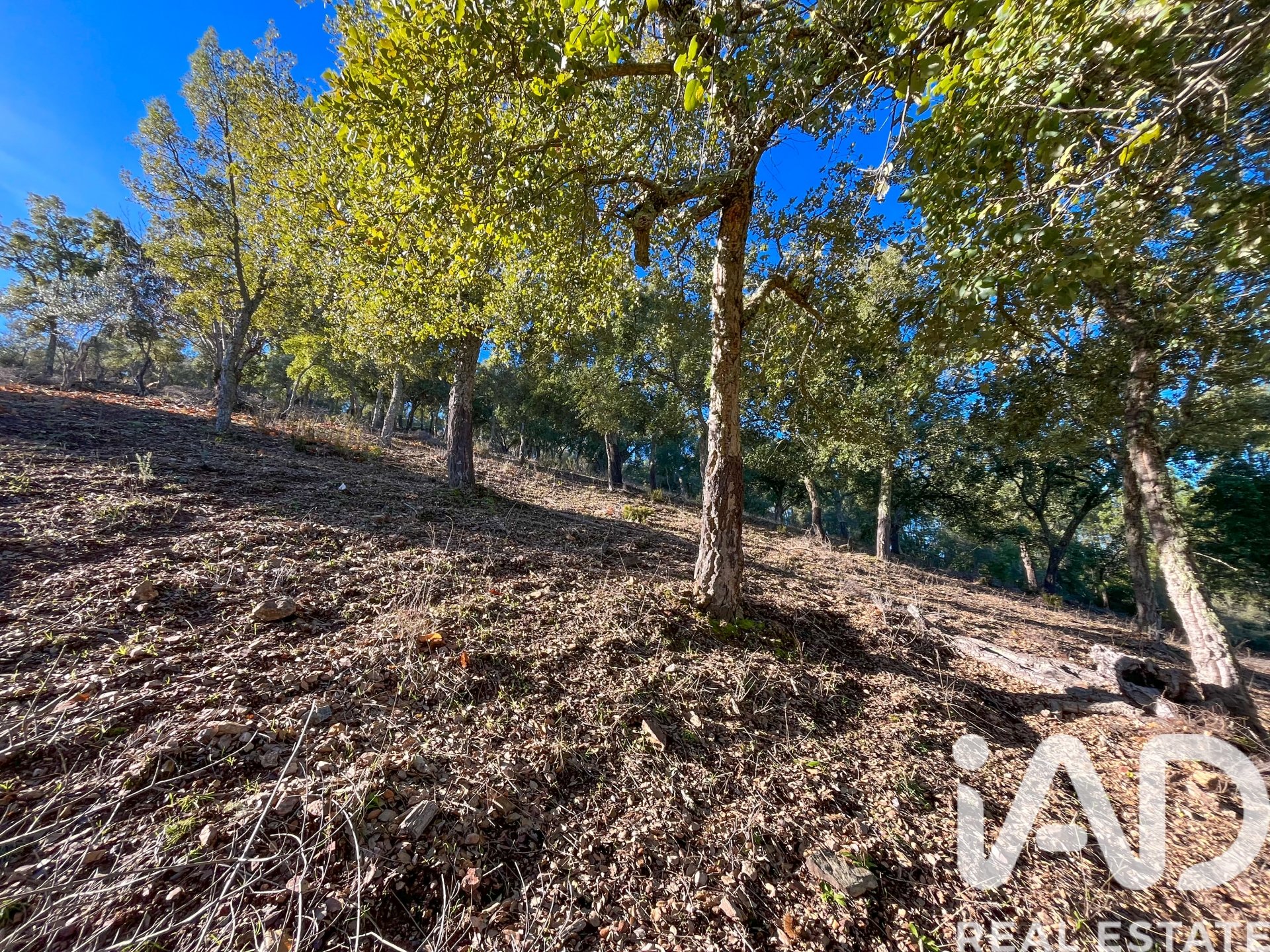 Terreno a La Nava, Huelva, Spagna 150000 mq. N° 173023