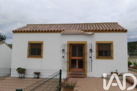 Działka w Arcos de la Frontera, Cadiz, Hiszpania 32017 mkw. nr 173162 – zdjęcie 12