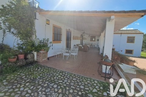Działka w Arcos de la Frontera, Cadiz, Hiszpania 32017 mkw. nr 173162 – zdjęcie 7