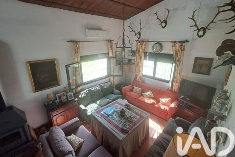 Działka w Arcos de la Frontera, Cadiz, Hiszpania 32017 mkw. nr 173162 – zdjęcie 15