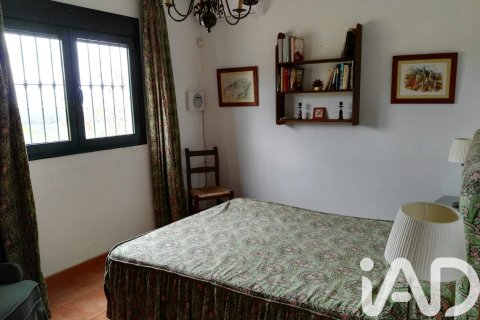 Działka w Arcos de la Frontera, Cadiz, Hiszpania 32017 mkw. nr 173162 – zdjęcie 13