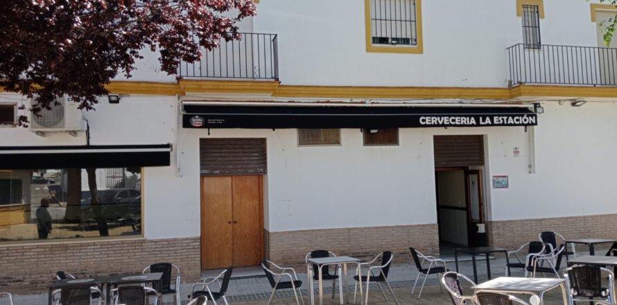 Liikekiinteistö Ecija, Seville, Espanja 354 m2 No. 153998