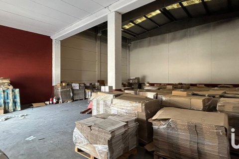 Продажа коммерческой недвижимости в Ллинарс-дель-Вальес, Барселона, Испания 406м2 №153995 - фото 4