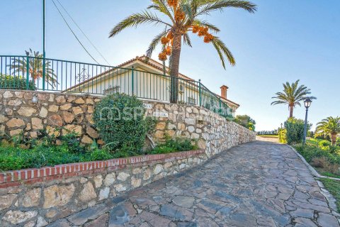 Villa for sale in Benalmadena, Malaga, Spain 6 bedrooms, 595 sq.m. No. 64239 - photo 6