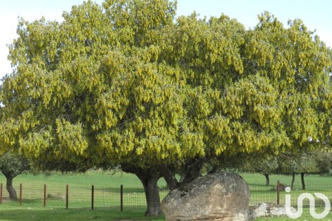 Продажа земельного участка в Ледесма, Саламанка, Испания 6800000м2 №152928 - фото 7