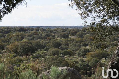 Продажа земельного участка в Ледесма, Саламанка, Испания 6800000м2 №152928 - фото 18