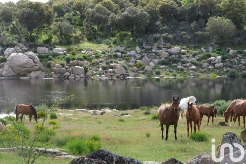 Продажа земельного участка в Ледесма, Саламанка, Испания 6800000м2 №152928 - фото 13