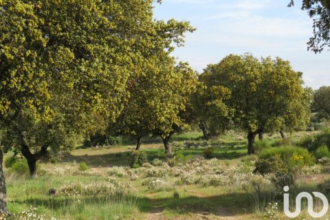 Продажа земельного участка в Ледесма, Саламанка, Испания 6800000м2 №152928 - фото 15