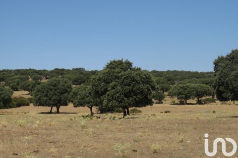 Продажа земельного участка в Ледесма, Саламанка, Испания 6800000м2 №152928 - фото 19