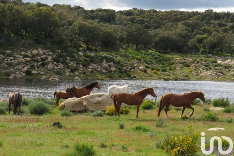 Land in Ledesma, Salamanca, Spanien 6800000 m2 Nr. 152928