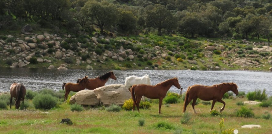Земельный участок в Ледесма, Саламанка, Испания 6800000м2 №152928