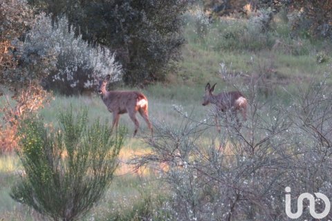 Продажа земельного участка в Ледесма, Саламанка, Испания 6800000м2 №152928 - фото 4