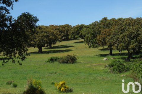 Продажа земельного участка в Ледесма, Саламанка, Испания 6800000м2 №152928 - фото 3