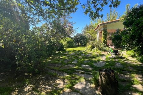 Продажа земельного участка в Ледесма, Саламанка, Испания 6800000м2 №152928 - фото 11