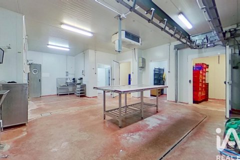 Komerciāls īpašums pārdošanā Reus, Tarragona, Spānijā 12 istabas, 400 m2 Nr. 172859 - attēls 14