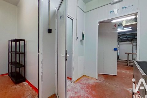 Komerciāls īpašums pārdošanā Reus, Tarragona, Spānijā 12 istabas, 400 m2 Nr. 172859 - attēls 17