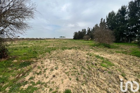 Продажа виллы в Картая, Уэльва, Испания 32м2 №186004 - фото 12