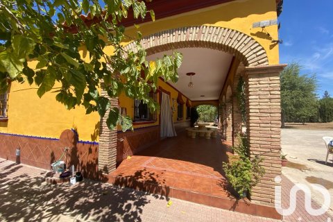 Продажа земельного участка в Лора дель Рио, Севилья, Испания 5201м2 №153004 - фото 11