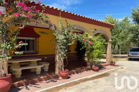 Продажа земельного участка в Лора дель Рио, Севилья, Испания 5201м2 №153004 - фото 9