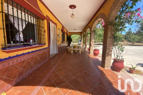 Продажа земельного участка в Лора дель Рио, Севилья, Испания 5201м2 №153004 - фото 3