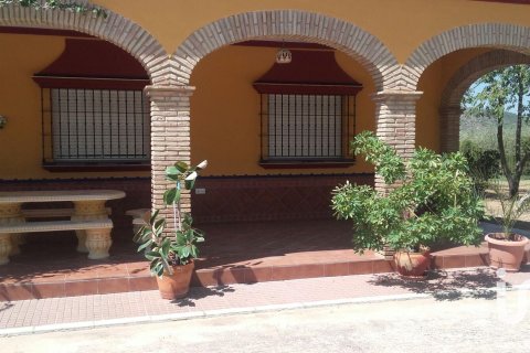 Продажа земельного участка в Лора дель Рио, Севилья, Испания 5201м2 №153004 - фото 6