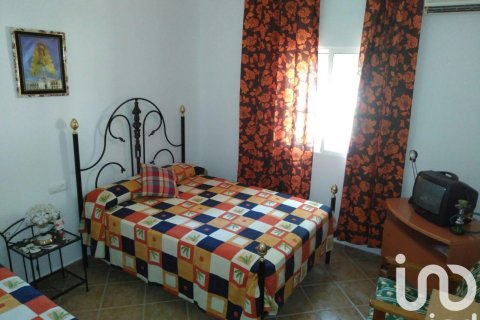 Продажа земельного участка в Лора дель Рио, Севилья, Испания 5201м2 №153004 - фото 15