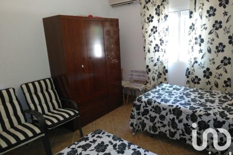 Продажа земельного участка в Лора дель Рио, Севилья, Испания 5201м2 №153004 - фото 4