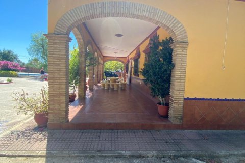 Продажа земельного участка в Лора дель Рио, Севилья, Испания 5201м2 №153004 - фото 7