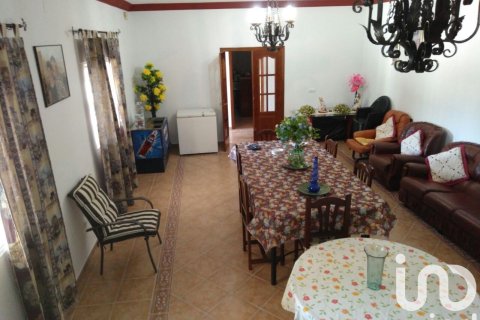 Продажа земельного участка в Лора дель Рио, Севилья, Испания 5201м2 №153004 - фото 14