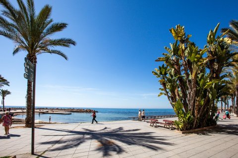 Dzīvoklis pārdošanā Torrevieja, Alicante, Spānijā 24 m2 Nr. 195642 - attēls 26
